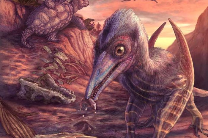 North America's Oldest Known Pterosaur - Discovered North America’s Oldest Known Pterosaur - Discovered