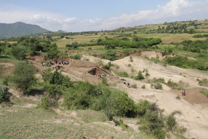 Hominins At Nyayanga, Kenya, Manufactured Oldowan Tools Primarily From Diverse Nonlocal Stones Ancient Human Relatives Transported Stones Long Distances 600,000 Years Earlier Than Previously BelievedV