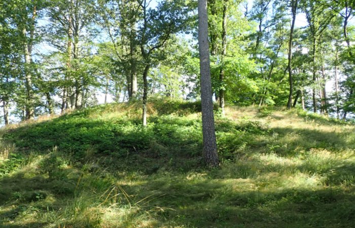 The Elite Class That Inhabited Seddin, Germany, During The Bronze Age Were Travellers And Originated From Elsewhere