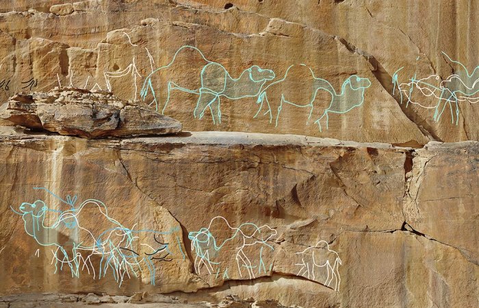 12,000-Year-Old Camel Rock Art In Arabia's Desert Served As Ancient Signs To Water Sources
