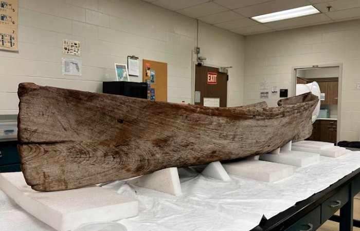 Unusual Canoe Found On Florida’s Gulf Coast Is Not North American