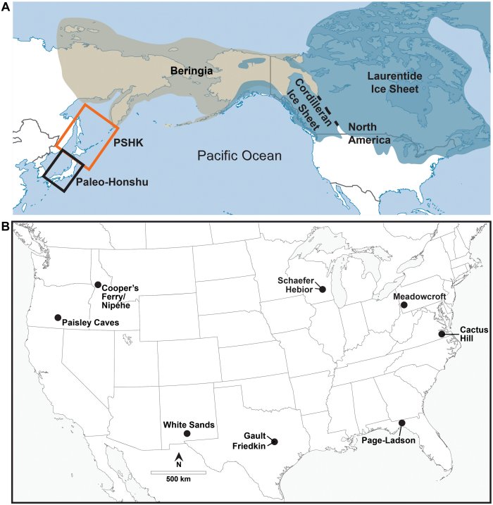 Paleolithic Stone Tools Reveal Where The First Americans Migrated From Paleolithic Stone Tools Reveal Where The First Americans Migrated From