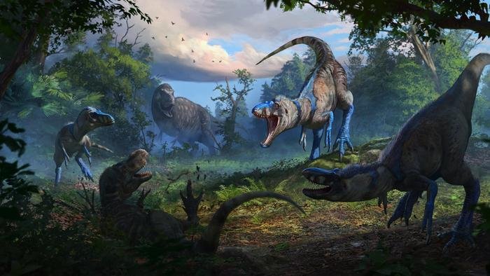 Nanotyrannus Confirmed: Dueling Dinosaurs Fossil Rewrites The Story Of T. Rex Nanotyrannus Confirmed: Dueling Dinosaurs Fossil Rewrites The Story Of T. Rex