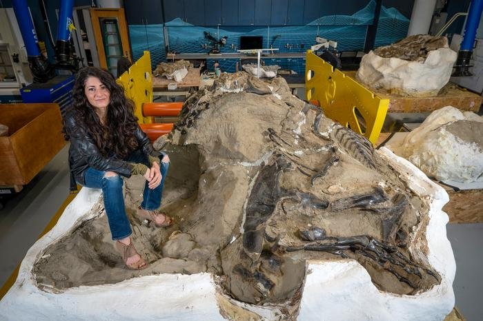 Nanotyrannus Confirmed: Dueling Dinosaurs Fossil Rewrites The Story Of T. Rex Nanotyrannus Confirmed: Dueling Dinosaurs Fossil Rewrites The Story Of T. Rex