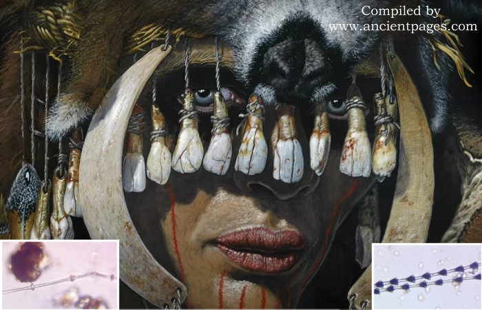 Bad Dürrenberg Shaman's 9,000-Year-Old Spectacular Headdress And Another Surprising Discovery Bad Dürrenberg Shaman's 9,000-Year-Old Spectacular Headdress And Another Surprising Discovery