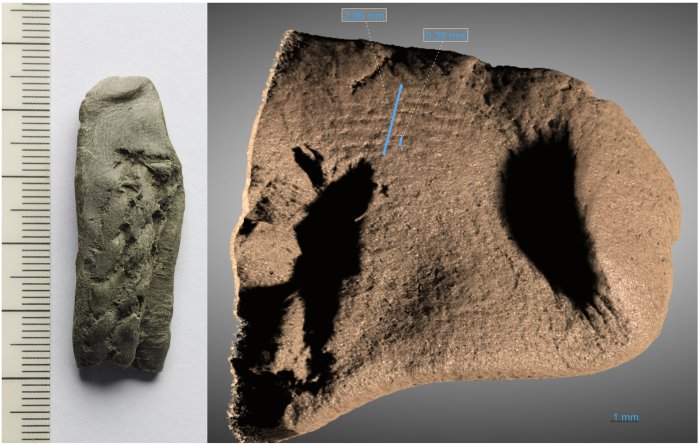 Puzzling 2,400-Year-Old Hjortspring Boat And The Ancient Baltic Warriors - Rare Discovery Of A Fingerprint Puzzling 2,400-Year-Old Hjortspring Boat And The Ancient Baltic Warriors - Rare Discovery Of A Fingerprint