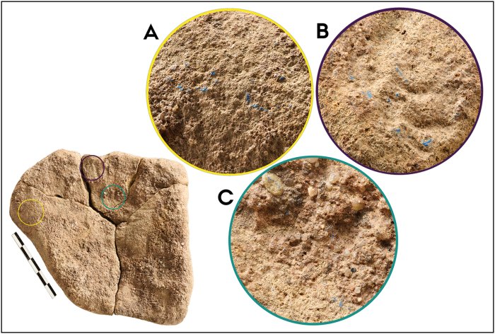 Europe's Oldest Blue Pigment, Found On A 13,000-Year-Old Stone In Germany, Offers New Insight Into Paleolithic Art Europe's Oldest Blue Pigment, Found On A 13,000-Year-Old Stone In Germany, Offers New Insight Into Paleolithic Art