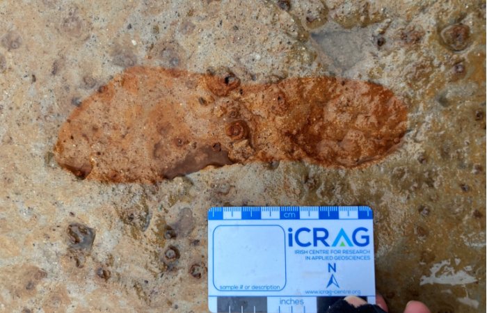 Rare 2,000-Year-Old Footprints Discovered On A Beach In Angus, Scotland Rare 2,000-Year-Old Footprints Discovered On A Beach In Angus, Scotland