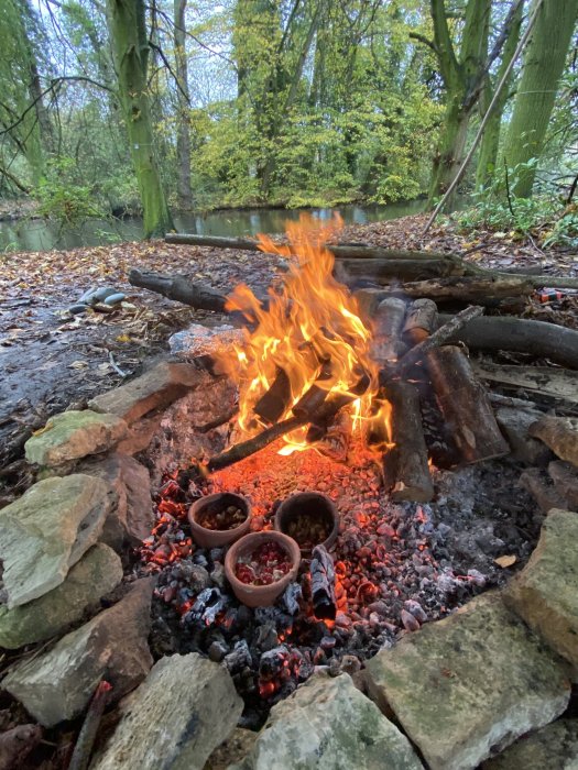 Ancient Pottery Reveals Prehistoric Europeans' Cuisines Were Surprisingly Complex Ancient Pottery Reveals Prehistoric Europeans' Cuisines Were Surprisingly Complex