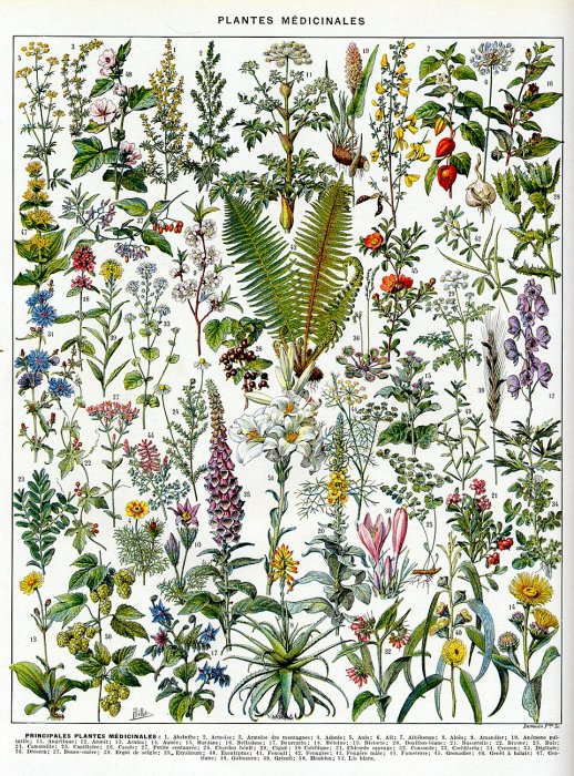 Evidence Of 9,000-Year-Old Flowers In Bad Dürrenberg's Shaman Burial Evidence Of 9,000-Year-Old Flowers In Bad Dürrenberg's Shaman Burial