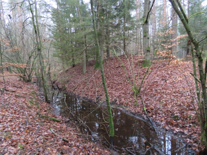 LIDAR Detects 1,500 Anomalies - Has The Long-Lost Medieval Town Stolzenberg Finally Been Found? LIDAR Detects 1,500 Anomalies - Has The Long-Lost Medieval Town Stolzenberg Finally Been Found?