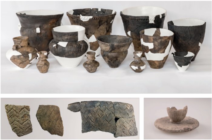 Secret Female Societies In Neolithic Europe Enjoyed Lactose-Free Milk During Funerary Rituals Secret Female Societies In Neolithic Europe Enjoyed Lactose-Free Milk During Funerary Rituals