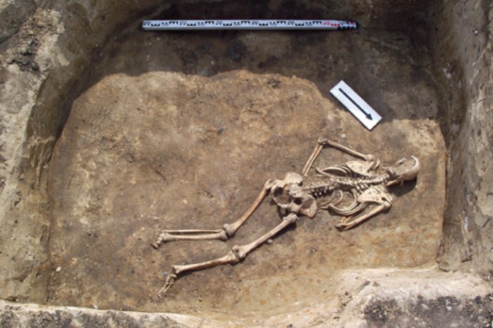 Secret Female Societies In Neolithic Europe Enjoyed Lactose-Free Milk During Funerary Rituals Secret Female Societies In Neolithic Europe Enjoyed Lactose-Free Milk During Funerary Rituals