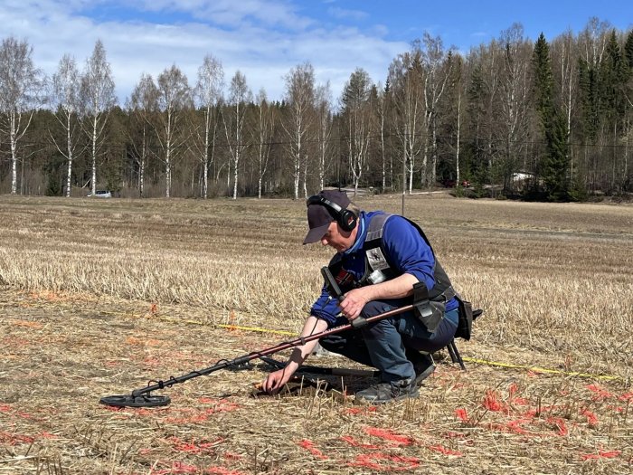 Amazing Viking Age Hoard With 3,000 Coins Discovered In Norway - The Largest Ever Found In The Country Amazing Viking Age Hoard With 3,000 Coins Discovered in Norway Is The Largest Ever Found In The Country