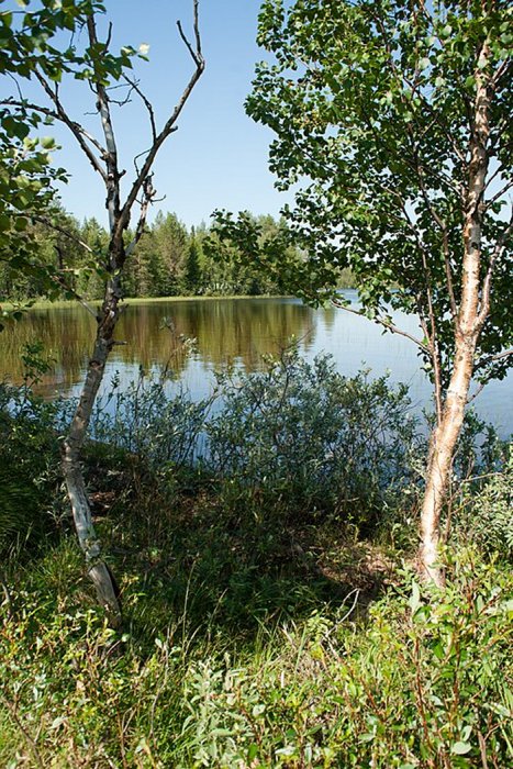 Intriguing Sámi Burial At Lake Kitka In Kuusamo: New Study Rewrites The Story Intriguing Sámi Burial At Lake Kitka In Kuusamo: New Study Rewrites The Story