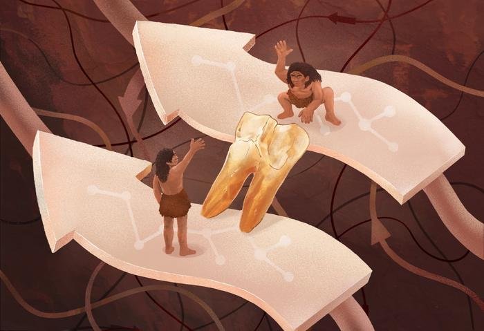 New Clues About A Potential Connection Between East Asian H. erectus And Denisovans