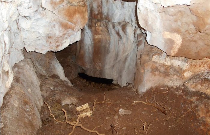 Oldest Human Remains In Northern Britain, Belonging To An 11,000-Year-Old Female Child, Discovered At Heaning Wood Bone Cave In Great Urswick, Cumbria Oldest Human Remains In Northern Britain, Belonging To An 11,000-Year-Old Female Child, Discovered At Heaning Wood Bone Cave in Great Urswick, Cumbria,