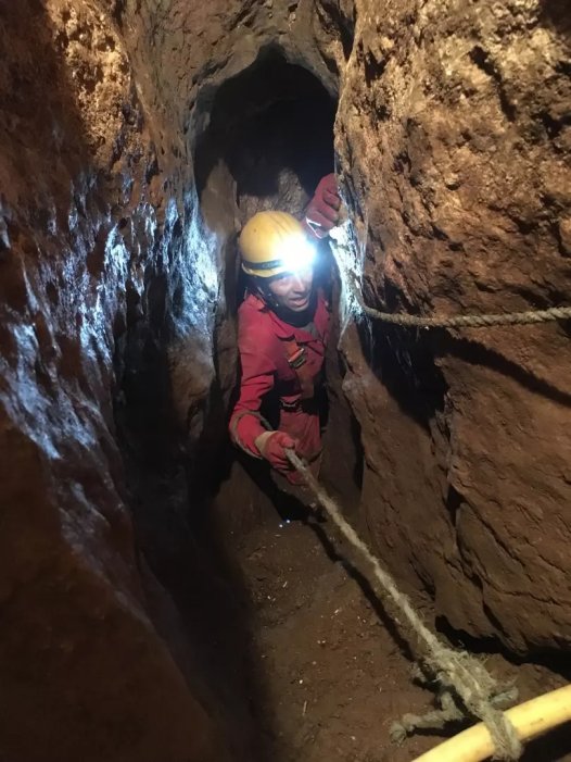 Oldest Human Remains In Northern Britain, Belonging To An 11,000-Year-Old Female Child, Discovered At Heaning Wood Bone Cave In Great Urswick, Cumbria Oldest Human Remains In Northern Britain, Belonging To An 11,000-Year-Old Female Child, Discovered At Heaning Wood Bone Cave In Great Urswick, Cumbria
