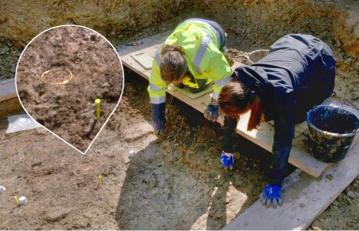 Extraordinary Celtic Princely Grave With Rare Golden Artifacts And Chariot Discovered Near Bad Camberg, Germany Extraordinary Celtic Princely Grave With Rare Golden Artifacts And Chariot Discovered Near Bad Camberg, Germany