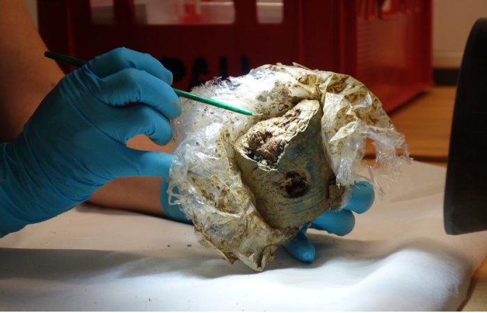 Extraordinary Celtic Princely Grave With Rare Golden Artifacts And Chariot Discovered Near Bad Camberg, Germany Extraordinary Celtic Princely Grave With Rare Golden Artifacts And Chariot Discovered Near Bad Camberg, Germany