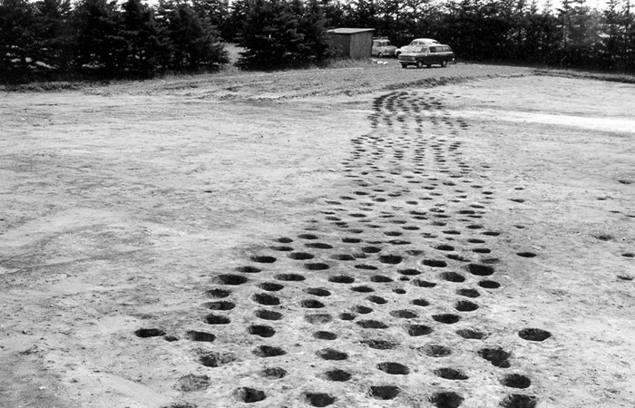 Mysterious 2,500-Year-Old Holes Are Popping Up All Over Denmark - What Are These Ancient Hole Belts, Archaeologists Ask?