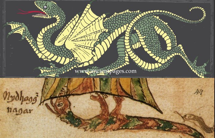 Nidhogg - Dreadful Winged Corpse-Eating Dragon Who Is Enemy Of Asgard And Yggdrasil Tree