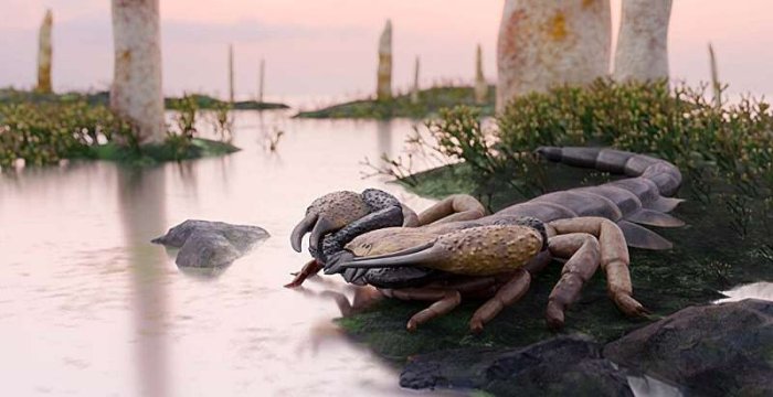 Praearcturus Gigas: The Biggest Scorpion Ever Revealed By 415-Million-Year-Old Fossils