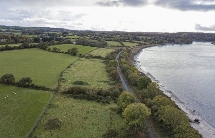 Could Woodstown Be Ireland's Largest Viking Settlement? Archaeologists Say It's Possible Could Woodstown Be Ireland's Largest Viking Settlement? Archaeologists Say It's Possible