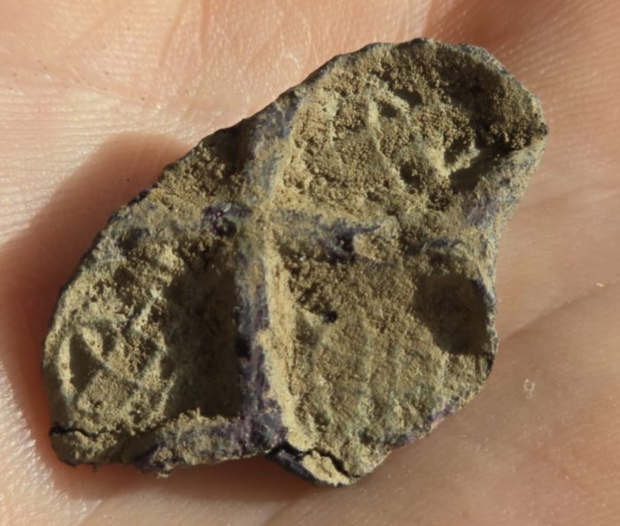 Could Woodstown Be Ireland's Largest Viking Settlement? Archaeologists Say It's Possible Could Woodstown Be Ireland's Largest Viking Settlement? Archaeologists Say It's Possible