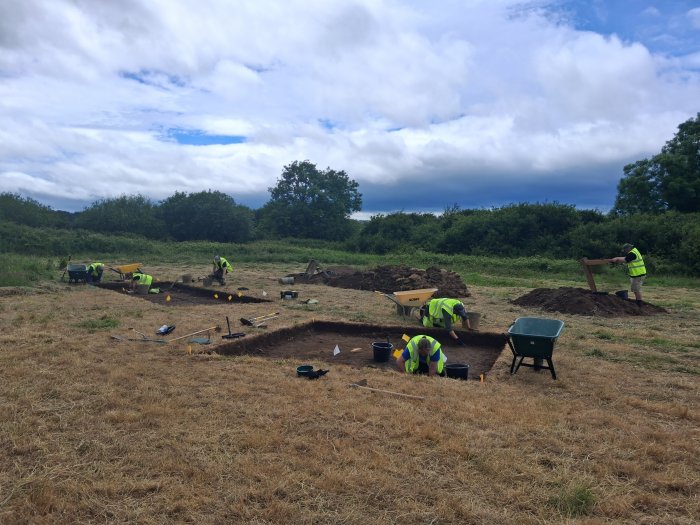 Could Woodstown Be Ireland's Largest Viking Settlement? Archaeologists Say It's Possible Could Woodstown Be Ireland's Largest Viking Settlement? Archaeologists Say It's Possible