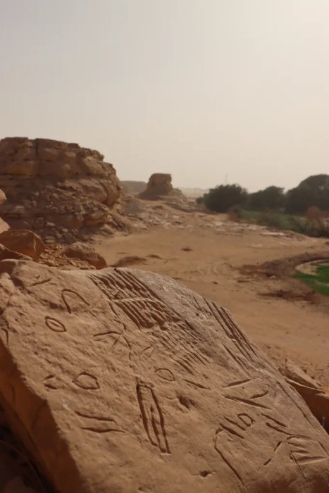 Egypt's Millennia-Old Rock Art At Risk From Climate Change - Polish Scientists Race To Document It Egypt's Millennia-Old Rock Art At Risk From Climate Change - Polish Scientists Race To Document It