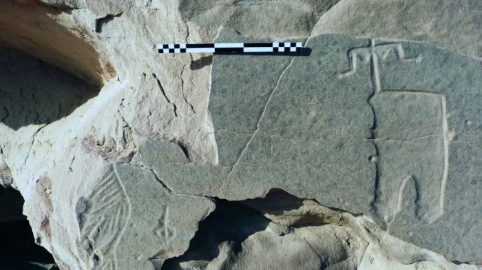 Egypt's Millennia-Old Rock Art At Risk From Climate Change - Polish Scientists Race To Document It Egypt's Millennia-Old Rock Art At Risk From Climate Change - Polish Scientists Race To Document It