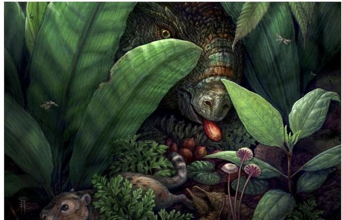 Dinosaurs Probably Ate Much More Fruit And Seeds Than We Used To Think