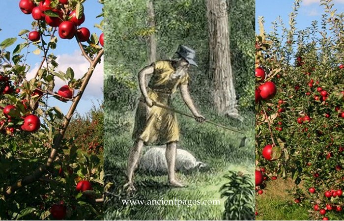 Legendary Johnny Appleseed Who Planted Apple Trees Across North America