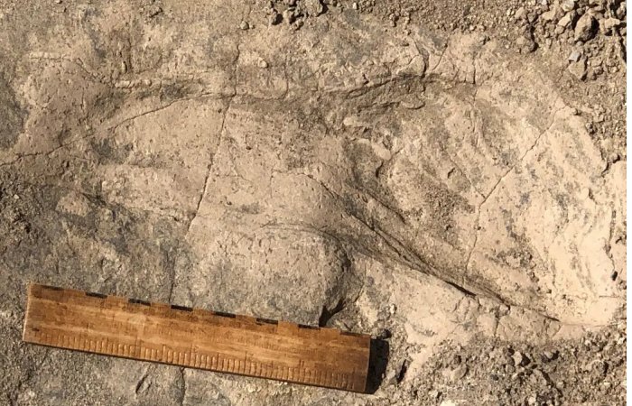 Unexpectedly Large Hominins Identified From 1.4-Million-Year-Old Footprints By An African Lake