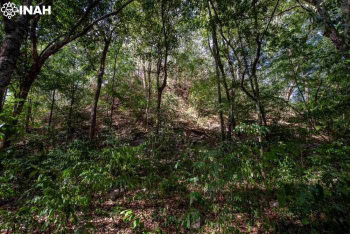 Forgotten Ancient Maya City El Yesal And Its Large Pyramids In The Balam Kú Biosphere Reserve, Mexico, Revealed By Archaeologists Forgotten Ancient Maya City El Yesal And Its Large Pyramids In The Balam Kú Biosphere Reserve, Mexico, Revealed By Archaeologists
