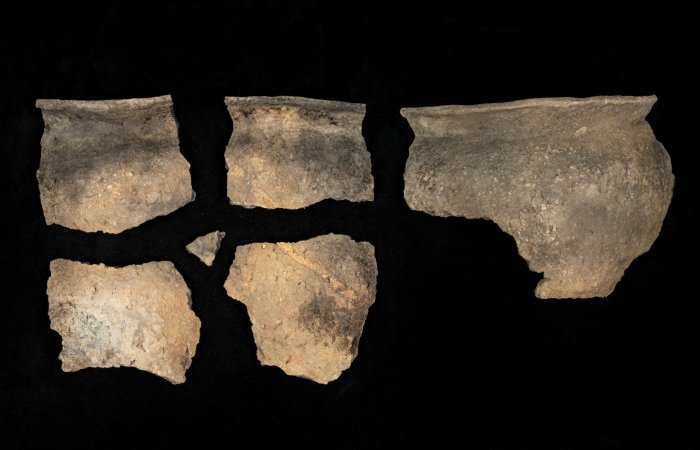 Rare Centuries-Old Native American Potano Pot With Unknown Use Discovered In Florida Rare Centuries-Old Native American Potano Pot Of Unknown Purpose Discovered In Florida