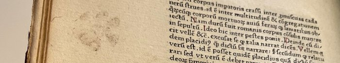 Medieval Mischief: Cat Paw Prints Found In 15th-Century Books Medieval Mischief: Cat Paw Prints Found In 15th-Century Books