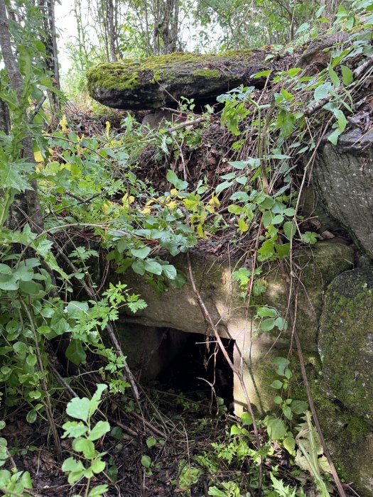 Nuragic Giant's Tomb Hidden For Thousands Of Years Discovered At Carrarzu Iddia, Sardinia Nuragic Giants’ Tomb Hidden For Thousands Of Years Discovered At Carrarzu Iddia, Sardinia